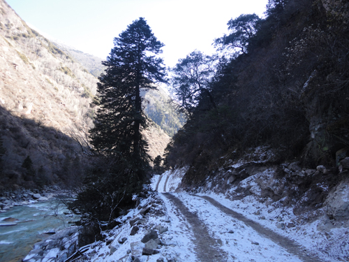巴拉電站射江公路通車