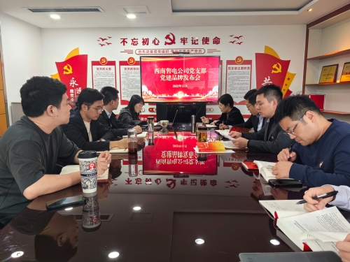 西南售電公司黨建品牌發(fā)布會